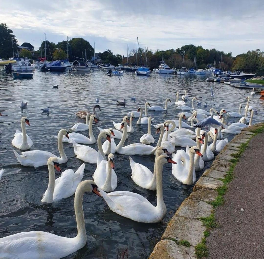 Mudeford Swans Apartamento Christchurch  Exterior foto